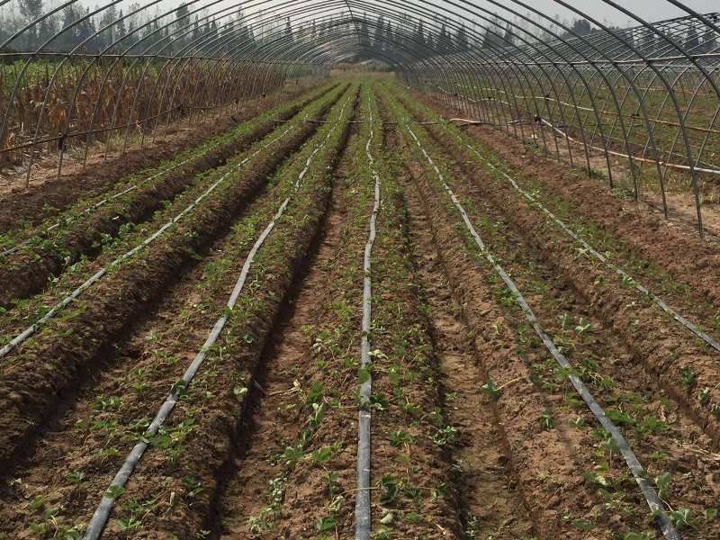 large-farm-irrigation-system large-farm-irrigation-system