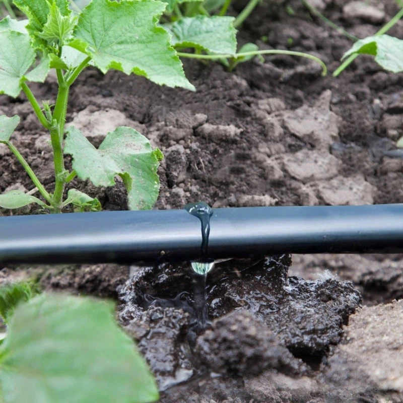drip-irrigation-tape-for-cucumber